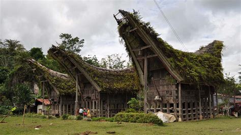 rumah adat sulawesi timur
